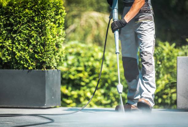 Best Rust Removal  in Abingdon, IL