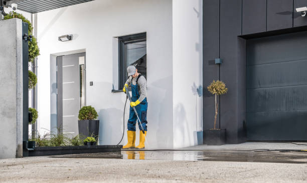 Animal Enclosure Cleaning in Abingdon, IL